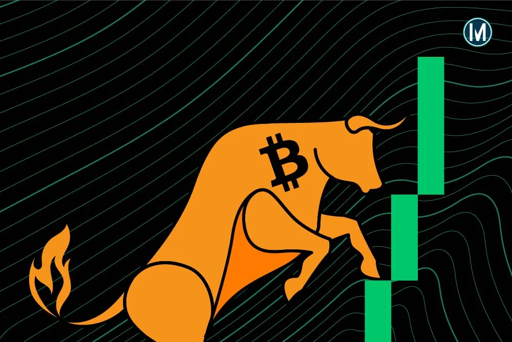What is a bull run?