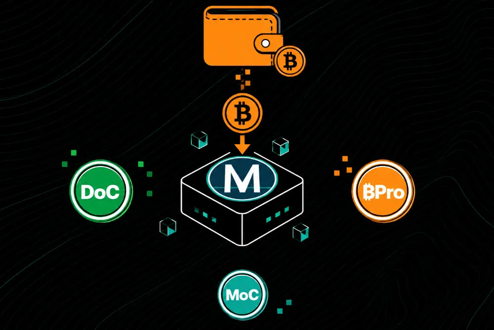 Using Money On Chain