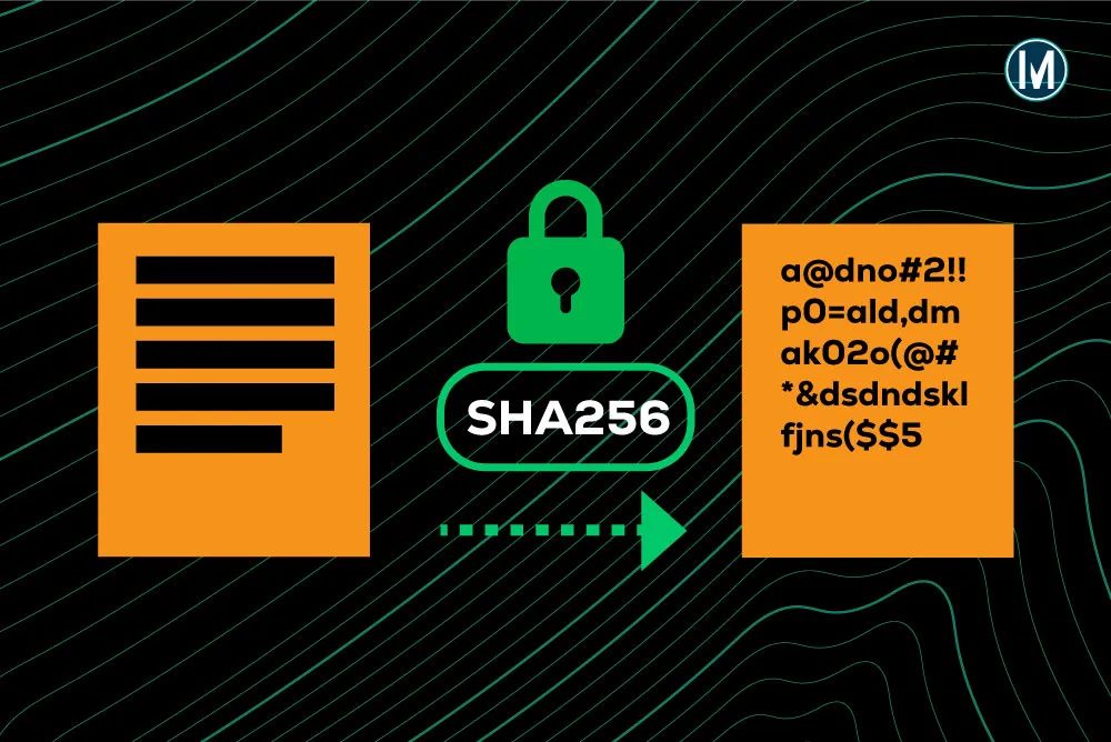 What is the SHA-256 hash?