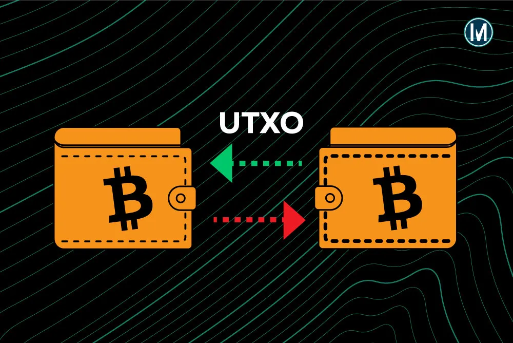 How does a UTXO work in a transaction?